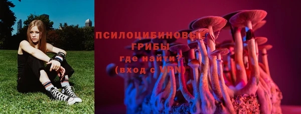 стафф Михайлов