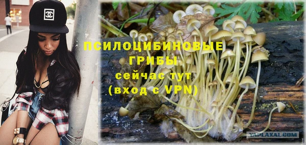 наркотики Михайловка