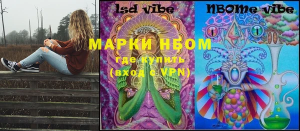 гашик Михайловск