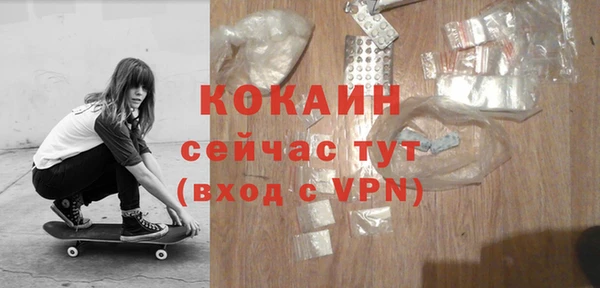 молекула духа Анжеро-Судженск