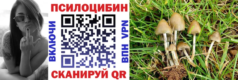 наркошоп  blacksprut сайт  Псилоцибиновые грибы Cubensis  Невельск 